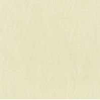 Краска Oikos Декоративная линия RAFFAELLO DECOR STUCCO R466 Серый — купить в Москве в интернет-магазине Snabimport