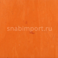 Каучуковые спортивные покрытия Remp Sportway Remplex M blue Оранжевый — купить в Москве в интернет-магазине Snabimport