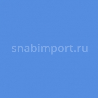 Светофильтр Rosco Roscolene-842 голубой — купить в Москве в интернет-магазине Snabimport