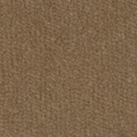 Ковровое покрытие Westex Westex Exquisite Velvet Collection Sandstone коричневый