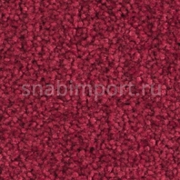 Ковровое покрытие Balsan Scenario 570 CARMIN Красный — купить в Москве в интернет-магазине Snabimport