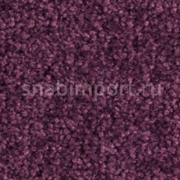 Ковровое покрытие Balsan Scenario 890 VIOLINE Фиолетовый — купить в Москве в интернет-магазине Snabimport