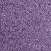 Ковровое покрытие Balta ITC Sierra 64 фиолетовый Фиолетовый — купить в Москве в интернет-магазине Snabimport