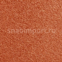 Ковровое покрытие ITC Sierra 64 коричневый — купить в Москве в интернет-магазине Snabimport