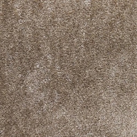 Ковровое покрытие Ideal Silk 312 коричневый — купить в Москве в интернет-магазине Snabimport