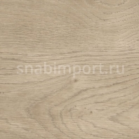 Дизайн плитка Polyflor SimpLay Wood PUR 2506 Grey Country Oak