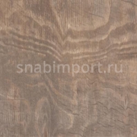 Керамогранитная плитка Keope Soul Walnut Натуральная рект коричневый — купить в Москве в интернет-магазине Snabimport