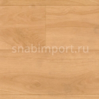 Спортивный линолеум Polyflor Sport 67 7516 Maple — купить в Москве в интернет-магазине Snabimport