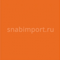 Балетный линолеум Harlequin Studio 203 — купить в Москве в интернет-магазине Snabimport