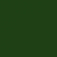 Светофильтр Rosco Supergel 126 Green Cyc Silk зеленый
