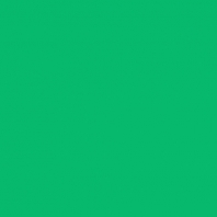 Светофильтр Rosco Supergel 389 Chroma Green зеленый