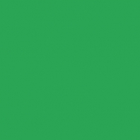 Светофильтр Rosco Supergel 89 Moss Green зеленый