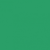 Театральная краска Rosco Supersaturated 5973 4-1 Pthalo Green, 1 л зеленый