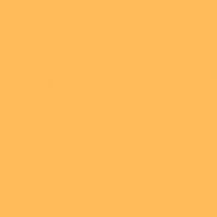 Театральная краска Rosco Supersaturated 5993 10-1 Leather Lake, 1 л оранжевый