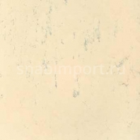 Натуральный линолеум Forbo Marmoleum tile t2607