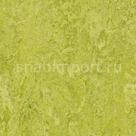 Натуральный линолеум Forbo Marmoleum tile t3224 — купить в Москве в интернет-магазине Snabimport