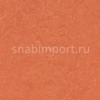 Натуральный линолеум Forbo Marmoleum Modular Colour t3243 — купить в Москве в интернет-магазине Snabimport
