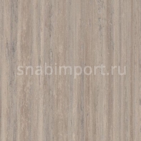 Натуральный линолеум Forbo Marmoleum Modular Lines t3573 — купить в Москве в интернет-магазине Snabimport