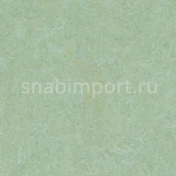 Натуральный линолеум Forbo Marmoleum Modular Colour t3882 — купить в Москве в интернет-магазине Snabimport