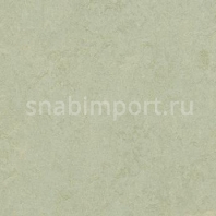 Натуральный линолеум Forbo Marmoleum Modular Colour t3884 — купить в Москве в интернет-магазине Snabimport