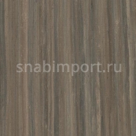 Натуральный линолеум Forbo Marmoleum Modular Lines t5231 — купить в Москве в интернет-магазине Snabimport