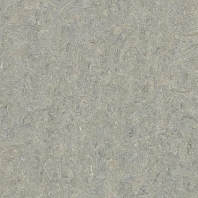 Натуральный линолеум Forbo Marmoleum Terra-5802 Серый