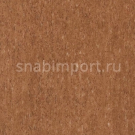 Коммерческий линолеум Tarkett Travertine Terracotta 02 — купить в Москве в интернет-магазине Snabimport