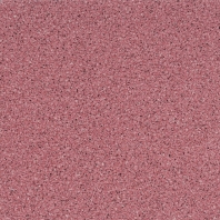 Коммерческий линолеум Gerflor Timberline-2188 Pixel Raspberry