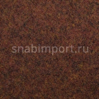 Ковровое покрытие Carpet Concept Tizo B02201 коричневый — купить в Москве в интернет-магазине Snabimport