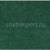 Иглопробивной ковролин Tecsom Tapisom Modul 00011 зеленый — купить в Москве в интернет-магазине Snabimport
