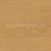 Спортивные покрытия Gerflor Taraflex™ Multi-Use 6.2 4331 — купить в Москве в интернет-магазине Snabimport