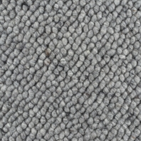 Ковровое покрытие BIC Tosh 1820 charcoal Серый
