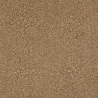 Ковровая плитка Betap Transmit-69 коричневый