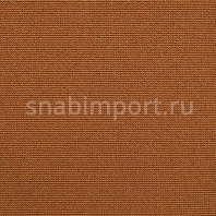 Ковровое покрытие Carpet Concept Uno 60142 оранжевый — купить в Москве в интернет-магазине Snabimport