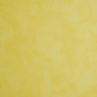 Краска Oikos Фасадная линия VELDECOR VD 2400 желтый — купить в Москве в интернет-магазине Snabimport