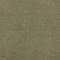 Ковровое покрытие Tapibel Altum Velvet-60270 Серый