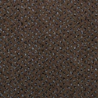 Ковровое покрытие Carus Venezia 329 коричневый