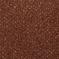 Ковровое покрытие Carus Venezia 995 коричневый