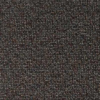Ковровое покрытие Carus Vesuvius 189 чёрный — купить в Москве в интернет-магазине Snabimport