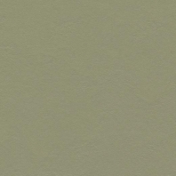 Натуральный линолеум Forbo Marmoleum Walton-3355 зеленый
