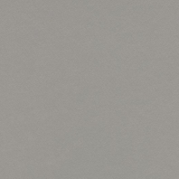 Натуральный линолеум Forbo Marmoleum Walton-3367 Серый