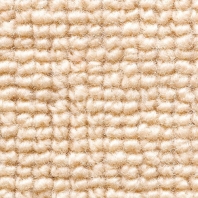 Ковровое покрытие Jabo-carpets Wool 1625-025 Бежевый — купить в Москве в интернет-магазине Snabimport