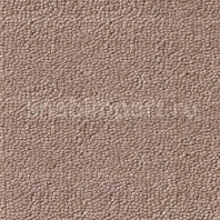 Ковровое покрытие Dura Premium Wool zenith 155 коричневый — купить в Москве в интернет-магазине Snabimport