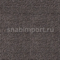 Ковровое покрытие Dura Premium Wool zenith 916 Серый — купить в Москве в интернет-магазине Snabimport