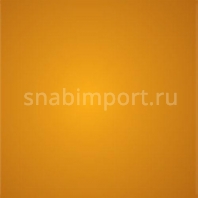 Полированный бетон Bautech X-FLOOR SYSTEM X-FLOOR желтый — купить в Москве в интернет-магазине Snabimport
