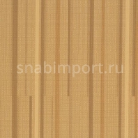 Виниловые обои Vycon Borderline Y46329 коричневый — купить в Москве в интернет-магазине Snabimport