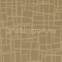 Виниловые обои Vycon Aerial View Y46685 коричневый — купить в Москве в интернет-магазине Snabimport