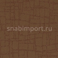 Виниловые обои Vycon Aerial View Y46687 коричневый — купить в Москве в интернет-магазине Snabimport