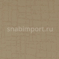 Виниловые обои Vycon Aerial View Y46689 коричневый — купить в Москве в интернет-магазине Snabimport