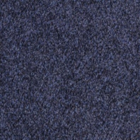 Ковровое покрытие Fletco Zenith 371850 синий — купить в Москве в интернет-магазине Snabimport